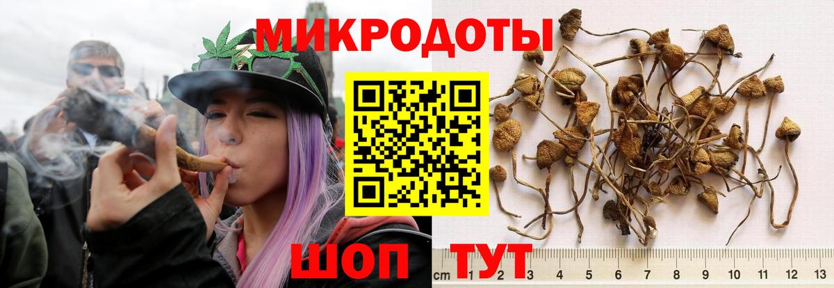 Галлюциногенные грибы Psilocybine cubensis  Вход с VPN  Кулебаки 